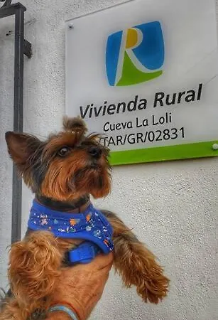 Cueva La Loli Holiday home *